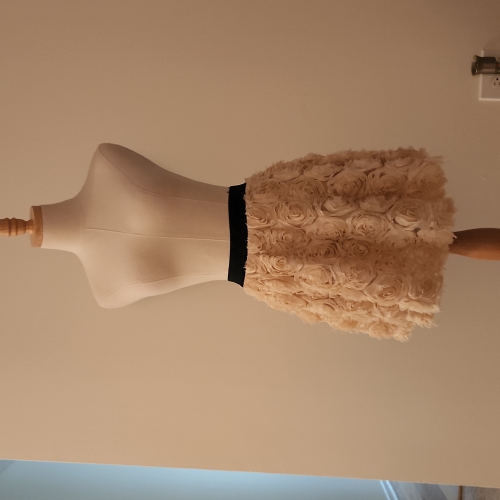Free People Rosette skater skirt